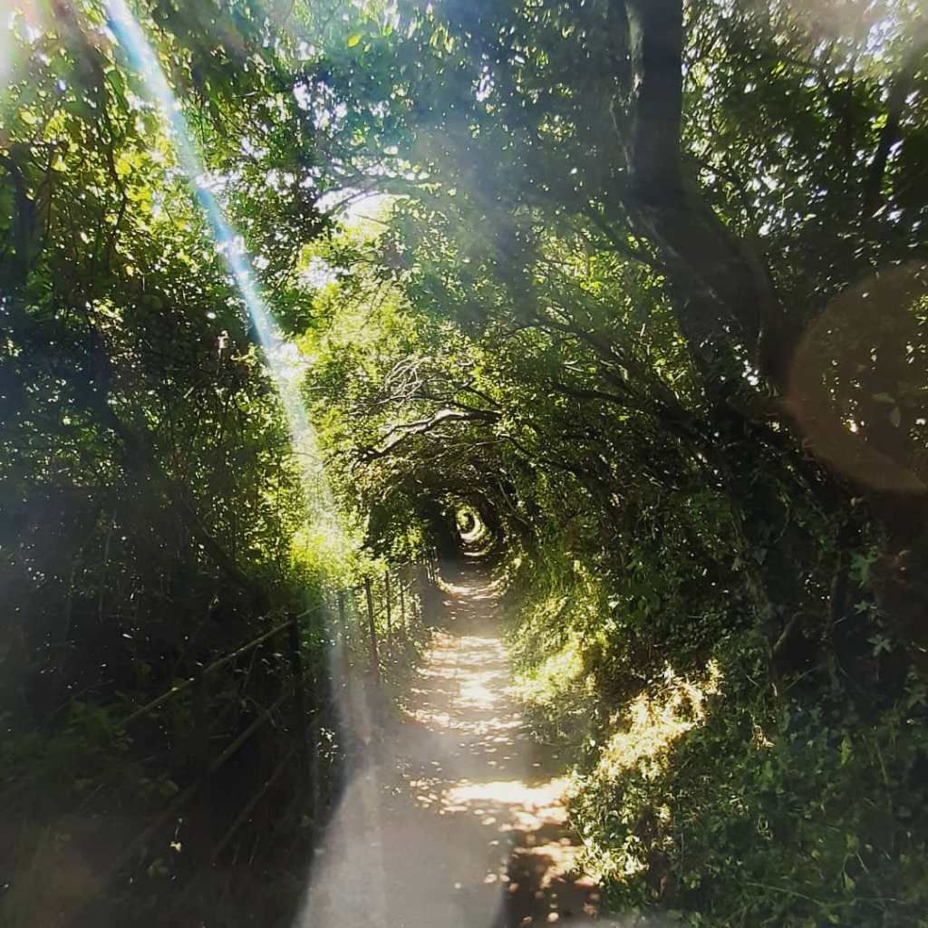 Nutritionist, heal thyself