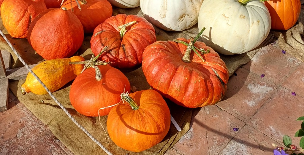 Musings on the Changing of the Seasons