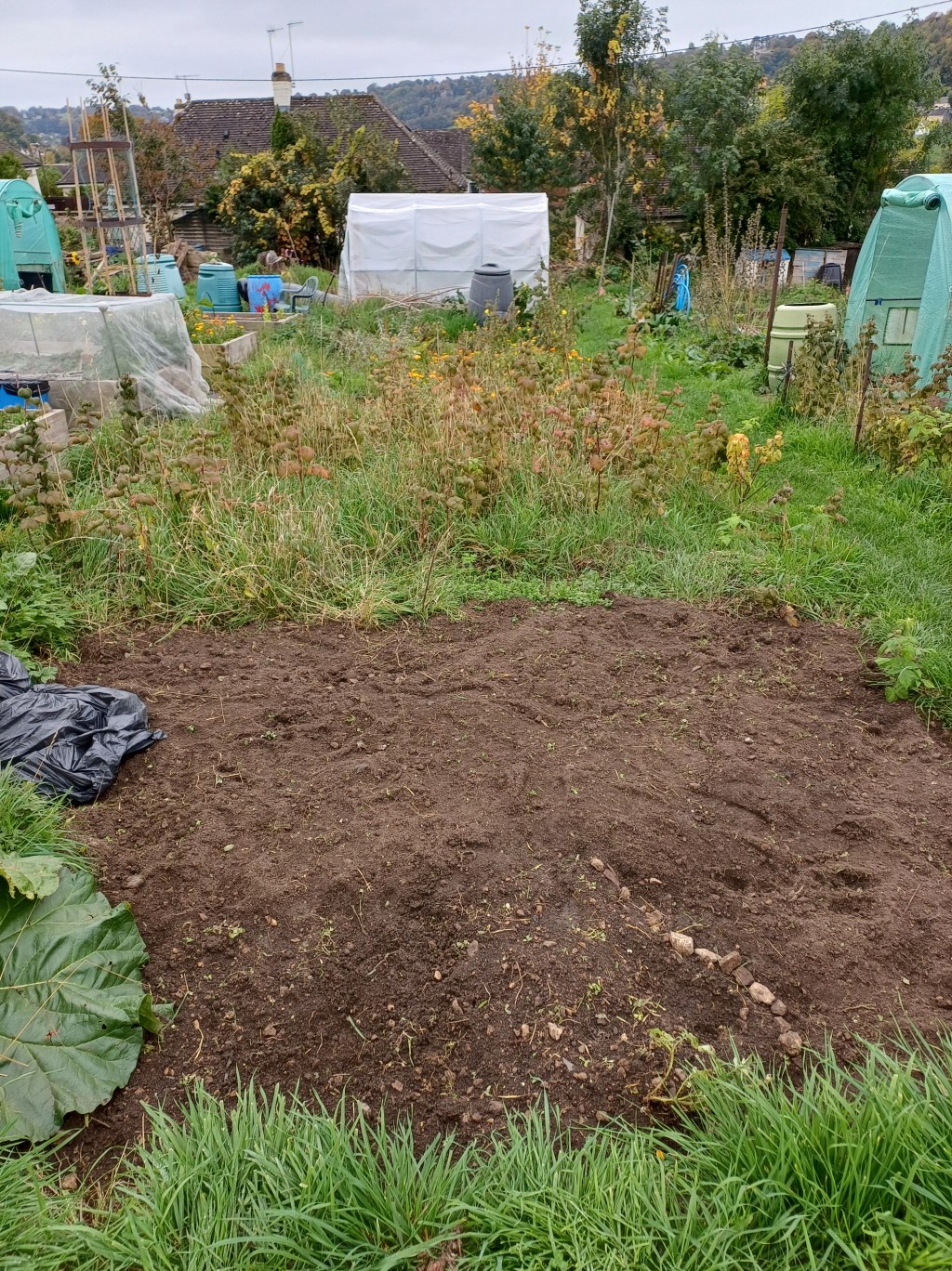 Amazing allotments – what growing your own food brings to the literal and figurative table